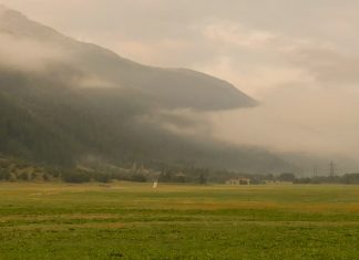 Amar a nuestros prójimos