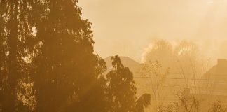 Andar en la luz de Cristo