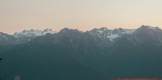 Ocuparse de los oprimidos