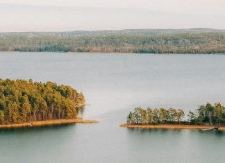 Aristóteles a la mesa