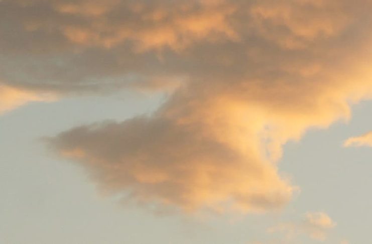 ¡Ojos puestos en Cristo!