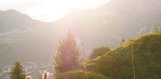 Alimentar a los necesitados