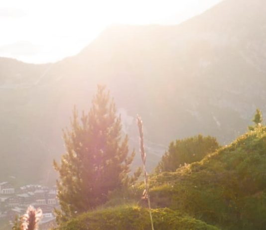Alimentar a los necesitados
