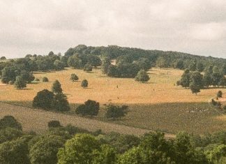 Dios está en todas partes