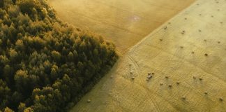 Ver lo que ha hecho Dios