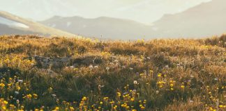 Abrazar la verdad de Cristo