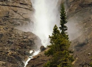 La fortaleza de Dios