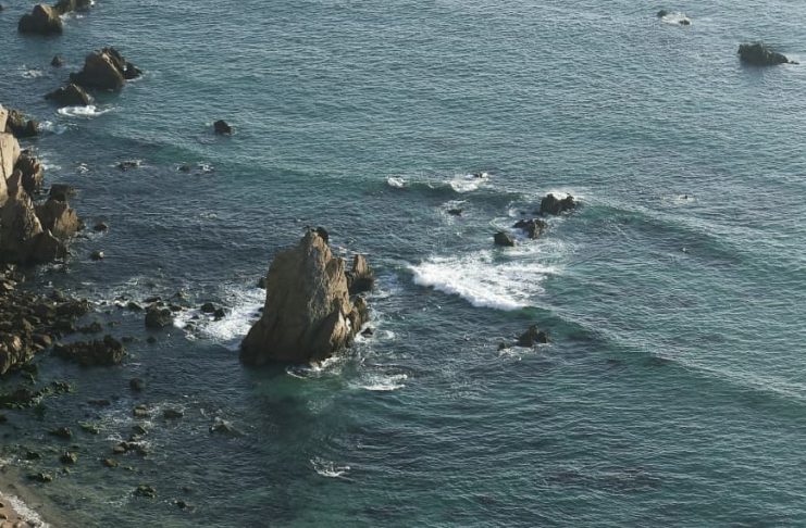 De megalodones y leviatanes