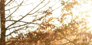 El cambio que trae Cristo