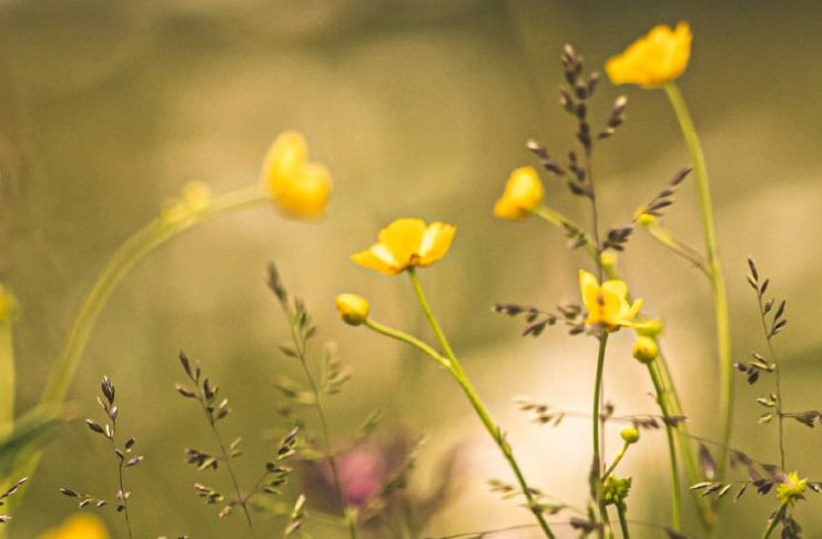 La dulzura de la Palabra de Dios