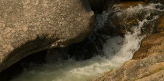 Belleza de la tragedia