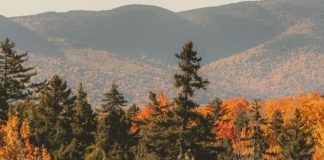 Dios nunca nos abandona