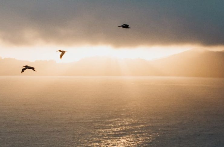 Un Salvador migrante