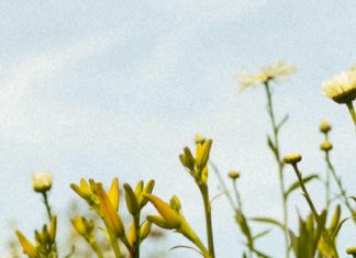 Empatía en el dolor