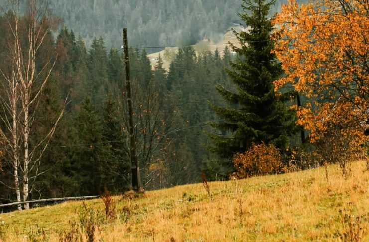 El método de Dios es el amor