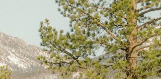 Una postura de oración