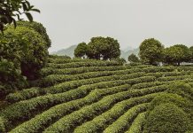 Grandioso y a la vez compasivo