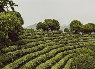 Grandioso y a la vez compasivo