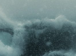 Calmar la tormenta