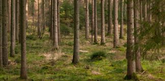 Fortalecerse en Dios