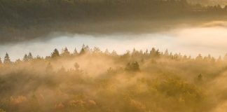 El trabajo que importa