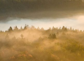 El trabajo que importa