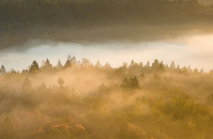 El trabajo que importa