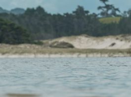 El Dios que lo hizo todo