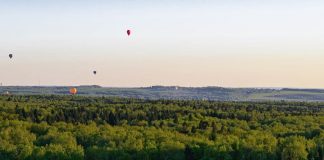 La paradoja de la persecución