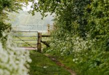 De importancia primordial