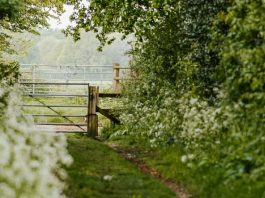 De importancia primordial