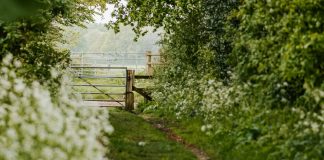 De importancia primordial