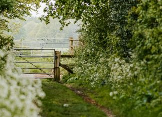 De importancia primordial