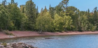 Destellos de memoria