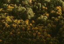 Bondad hacia los que sufren