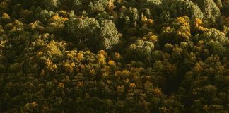 Bondad hacia los que sufren