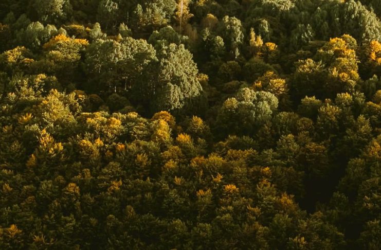 Bondad hacia los que sufren