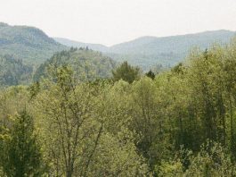 La posesión más preciada