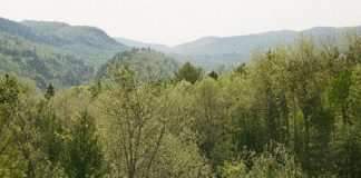 La posesión más preciada