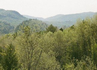 La posesión más preciada