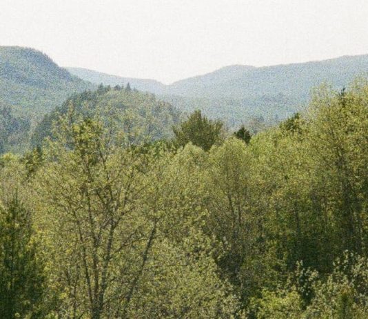 La posesión más preciada