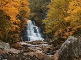 Nuestro valor en Cristo