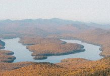 Una gratitud humilde