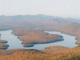 Una gratitud humilde