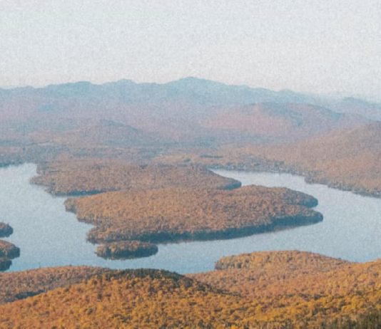 Una gratitud humilde