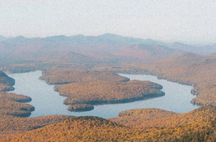 Una gratitud humilde