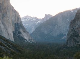 ¿Una ciudad que vale la pena buscar?