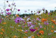 La gracia suficiente de Dios