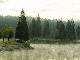 Crecer mediante la aflicción