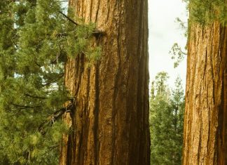 Creer más de lo que vemos